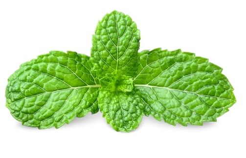 HondroFrost contains peppermint